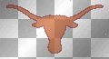 Longhorns SUCK