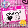 CHERCHER13