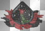 beautiful rose