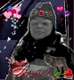 Arcticwolfette