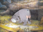 Poor eyore