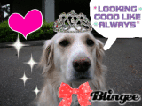 Good Lookin' LOLA ♪♪