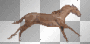 horse running