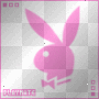 playboy bunny playboy bunny