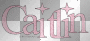 Caitlin 