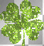 4 leaf clover