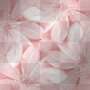 flowers pink flowers pink