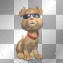 Cool Dog