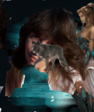 waterwolf
