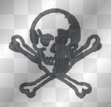skull