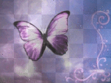 purple butterfly