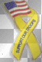 support our troops