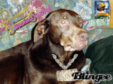 Duncandoo