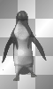 penguin, dancing, cute, sweet, friends, love, hop, black, white, happy, laughing