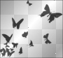 butterflies