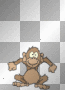 monkey