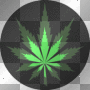 tnsunshyn