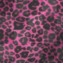 pink leopard