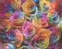Colorful Flowers
