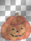 bear in a pumpkin