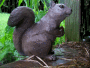 happysquirrel