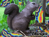 psycosquirrel