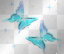 aqua butterflies