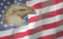 eagle flag