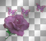 purple rose and butterflies
