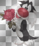 cat with a rose