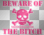 beware of bitch