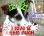 my dog x my dog x