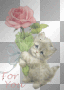 Kitty - For you