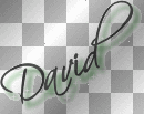 david