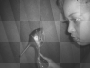 ';''