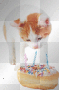 kitty birthday 1