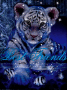 BABY WHITE TIGER BABY WHITE TIGER
