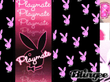 playbOy