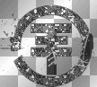 logo tokio hotel
