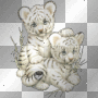 tiger cubs