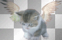 Angel Kitty