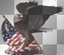 USA USA