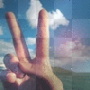 Peace Dude