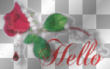 Hello