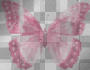 PINK BUTTERFLY