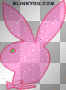 Playboy Bunny