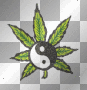 Weed