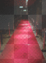 red carpet