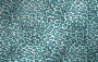 Blue Lepard BG
