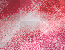 Dark Pink BG